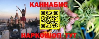 стаф Майкоп