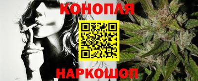 стаф Майкоп