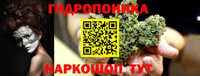 стаф Майкоп