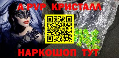 стаф Майкоп