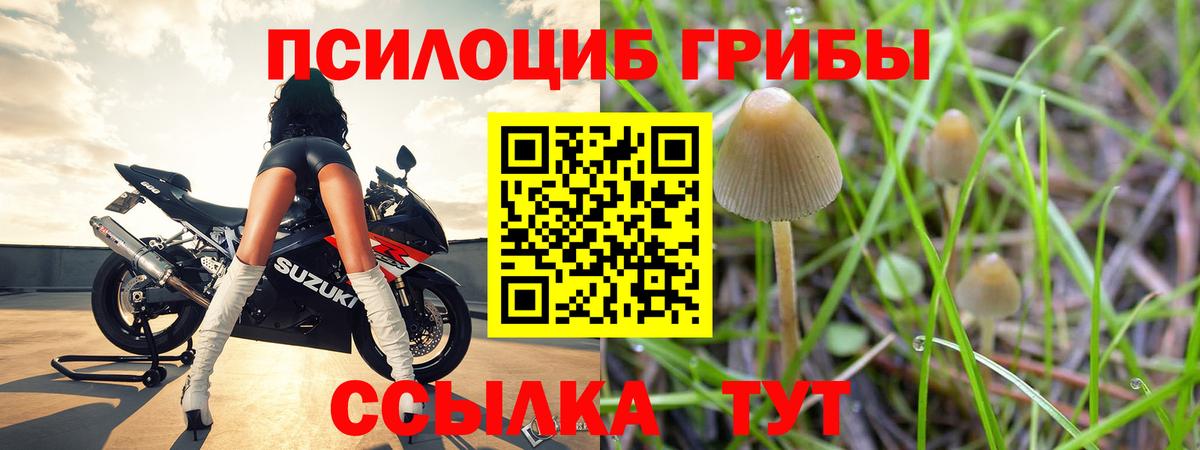 Галлюциногенные грибы MAGIC MUSHROOMS  Вход с VPN  Галлюциногенные грибы MAGIC MUSHROOMS  Берёзовский 